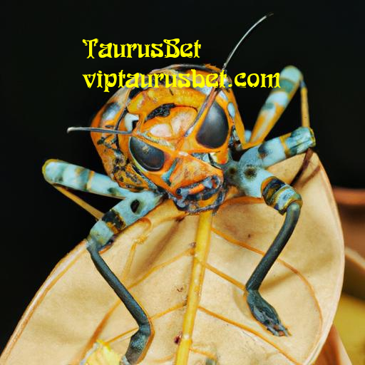 Novidades e Atualizações